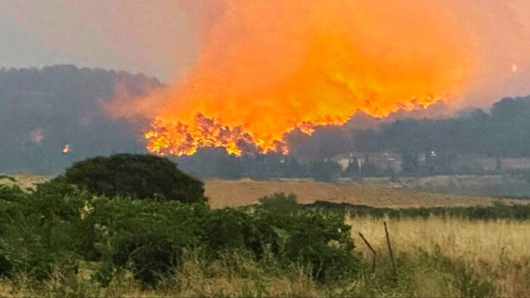 wildfires history