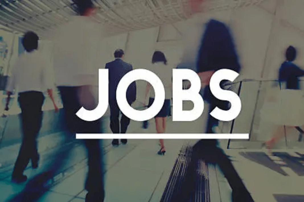 Entry-Level Jobs in NCR 2025