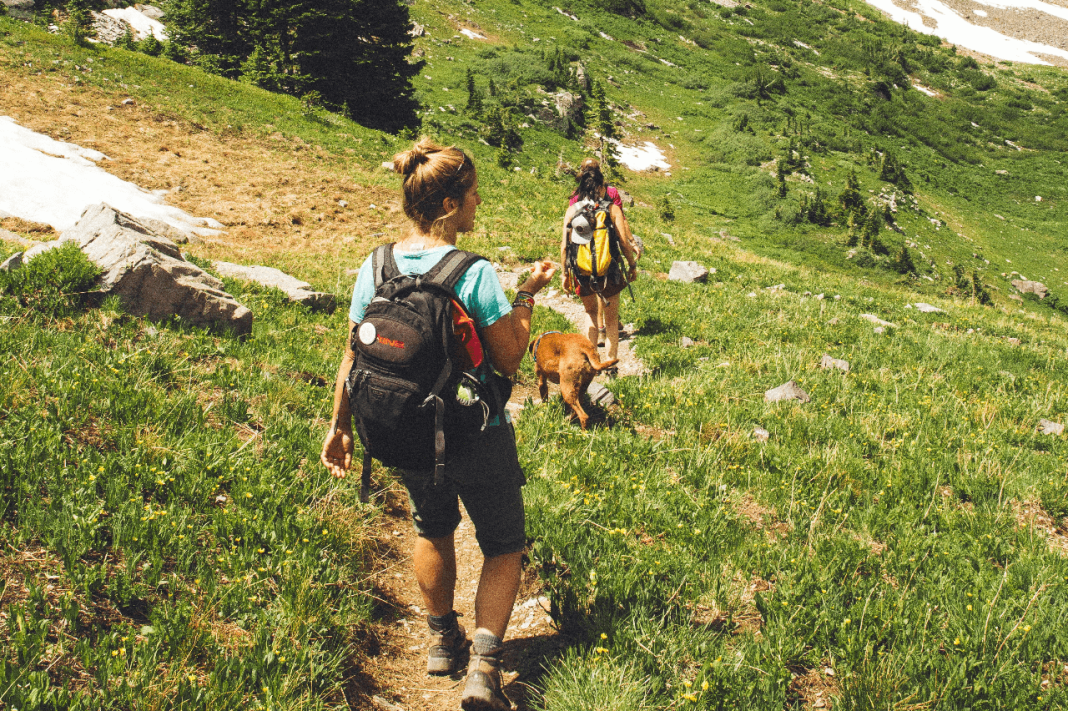 New Travel Hotspots in India for 2025