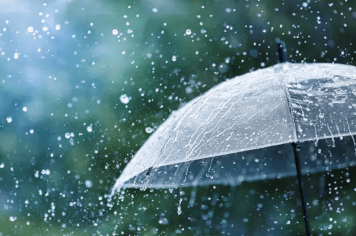 South India Rain Forecast Today South India Rain Forecast Today