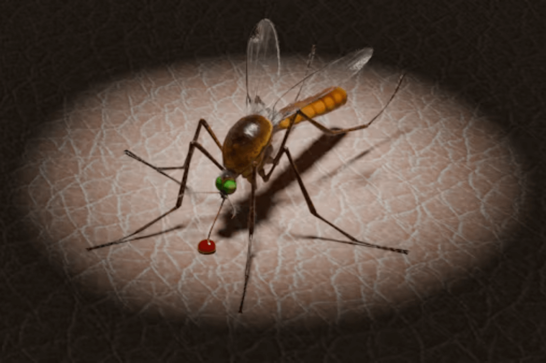 Malaria Targets Within Reach but India Carries 73% Burden: WHO Review