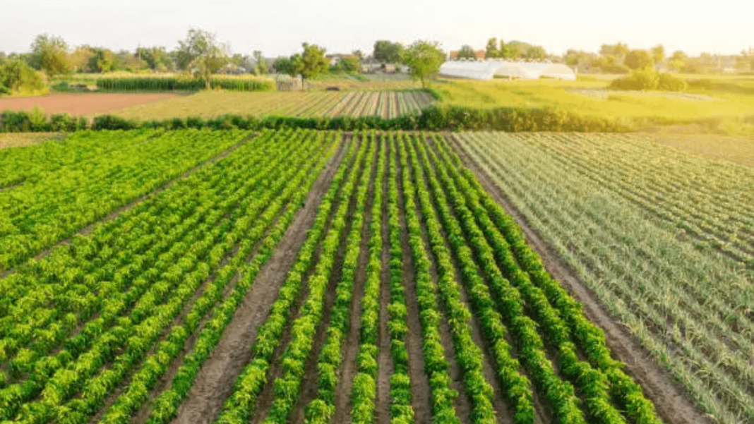 Why India Needs Climate-Resilient Agriculture to Secure Its Food Future