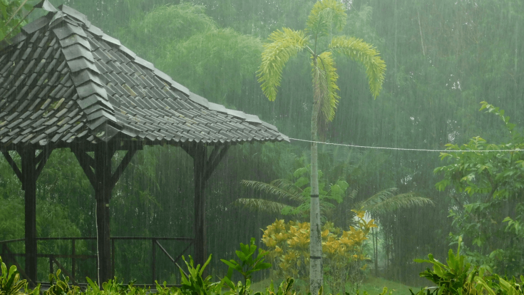 Heavy Rain, Thunderstorms Hit Getaways: Travel Alert For Kerala–Tamil Nadu Coast