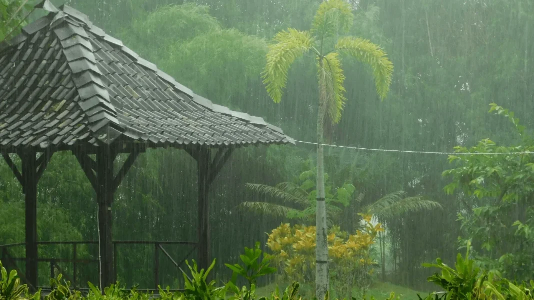Heavy Rain, Thunderstorms Hit Getaways: Travel Alert For Kerala–Tamil Nadu Coast