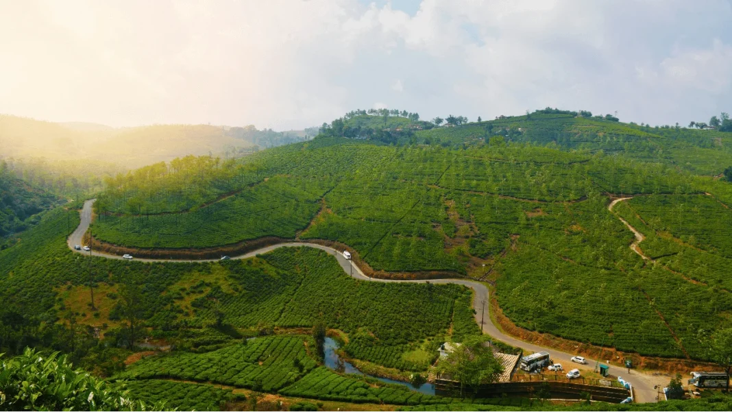 Decoded: Vagamon Tourist Places, Best Time to Visit and Travel Tips