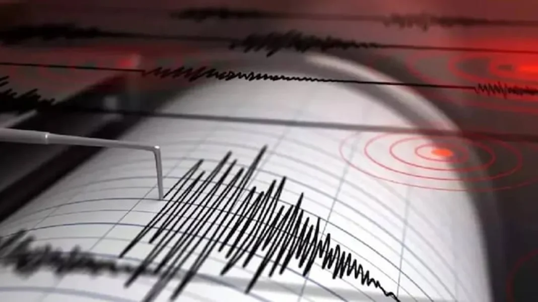 Earthquake Felt In Delhi Today: What Caused The Tremors And Was There Any Damage?