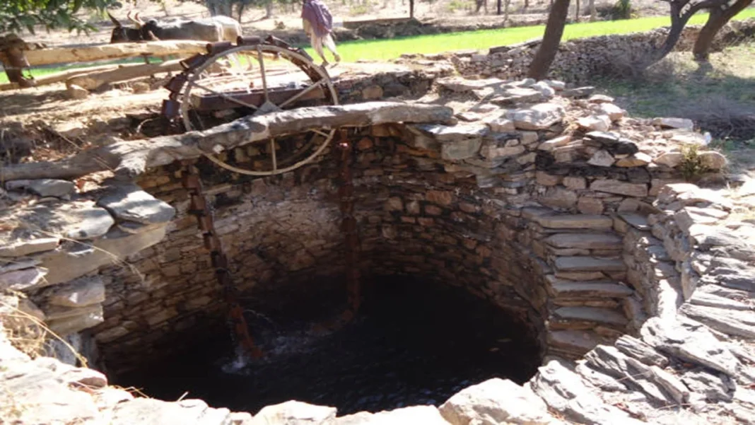 Delhi Borewell Policy 2026: The New Rule Every Independent Homeowner Must Follow Or Get ₹5,000 Penalty