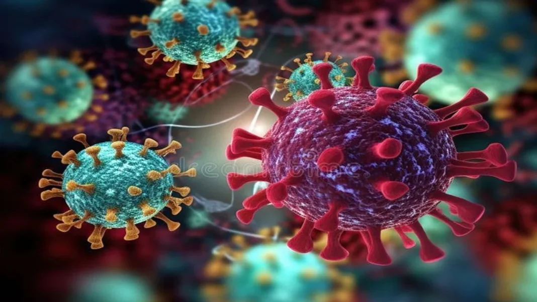 What Happens After Hantavirus Infection? Symptoms, Danger Signs And Step-By-Step Prevention Tips
