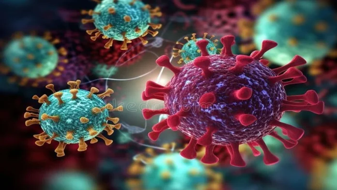 Hantavirus Infection Hantavirus Infection