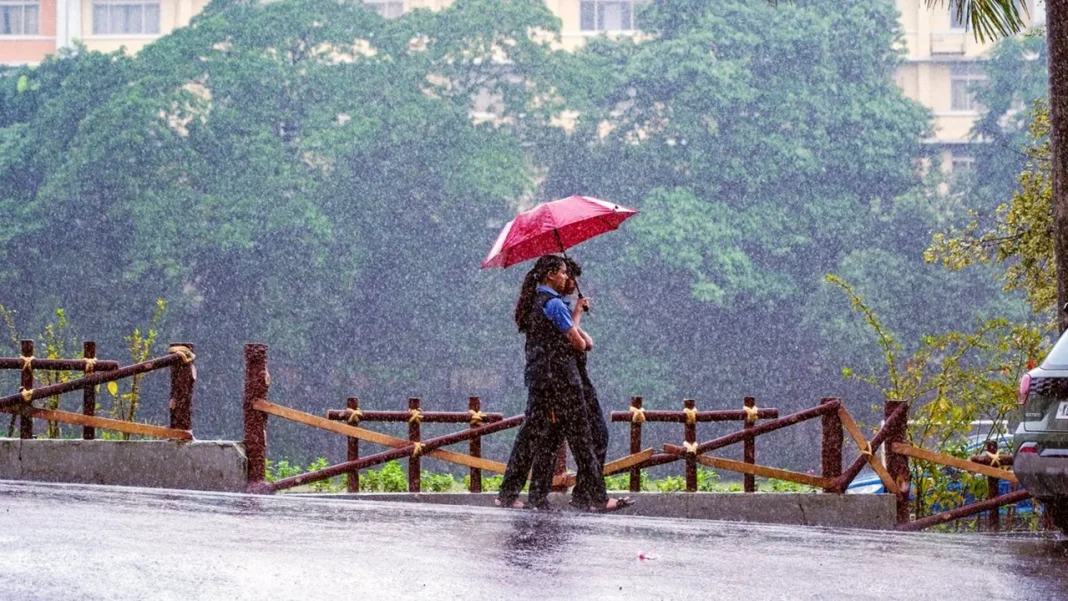Kerala Monsoon Update: Yellow Alert Issued For 9 Districts Today: Is Your Weekend Travel Plan Safe? See The Full List Of Affected Areas