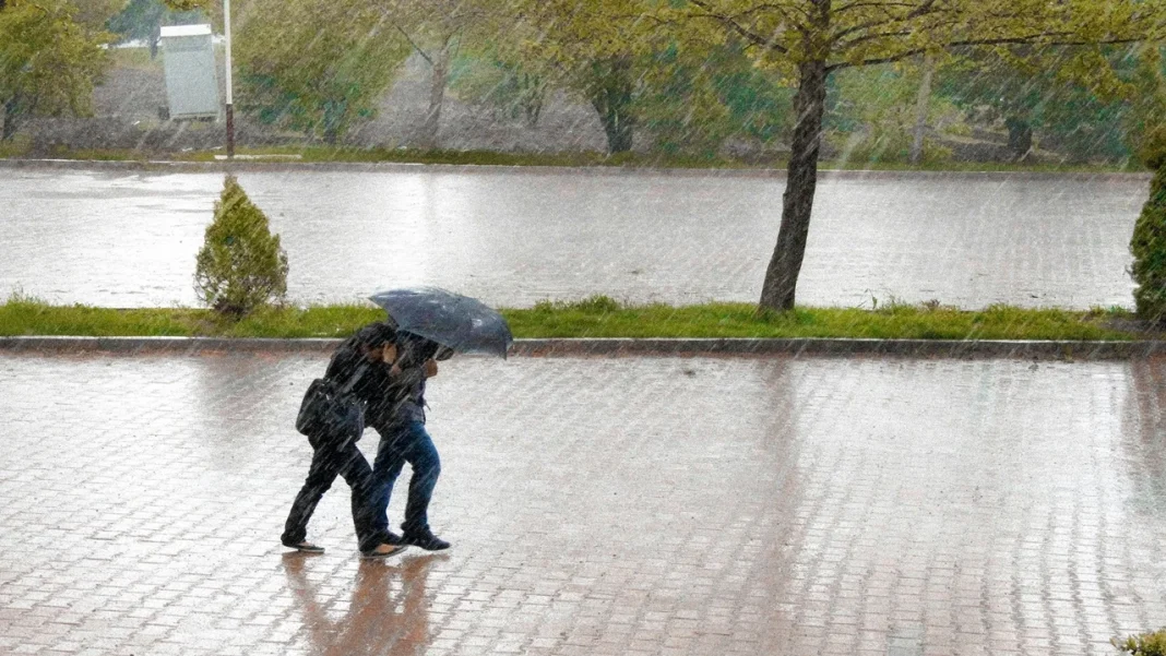 Kerala Orange Alert Today: Kozhikode, Wayanad And Kasaragod Rain Warning For June 8–9