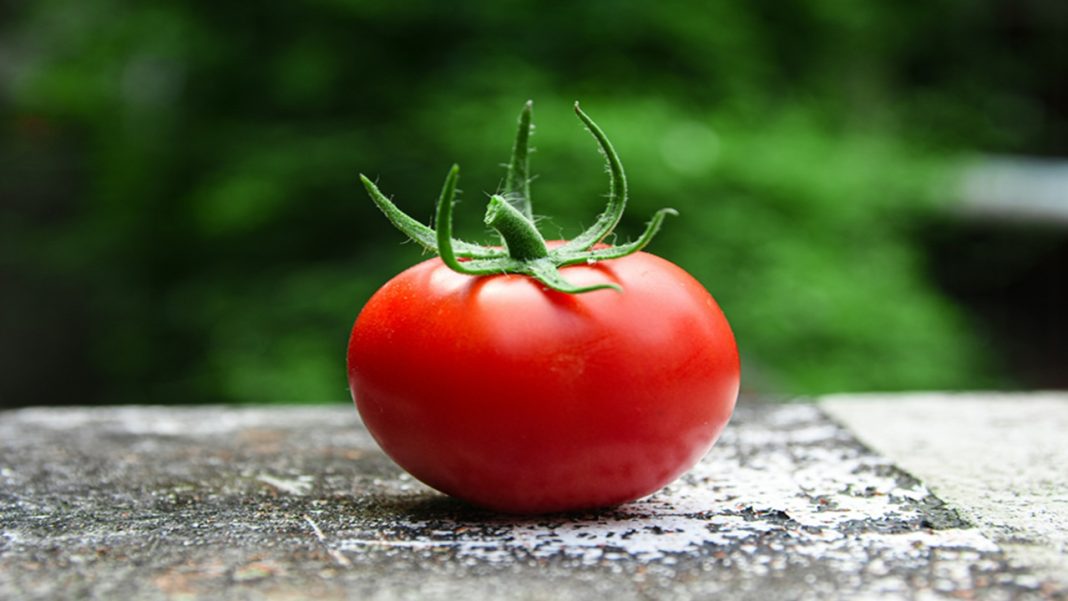 Tomatoes Vs. Spinach: 5 Common Indian Foods That Secretly Increase Kidney Stone Risks Tomatoes, Spinach