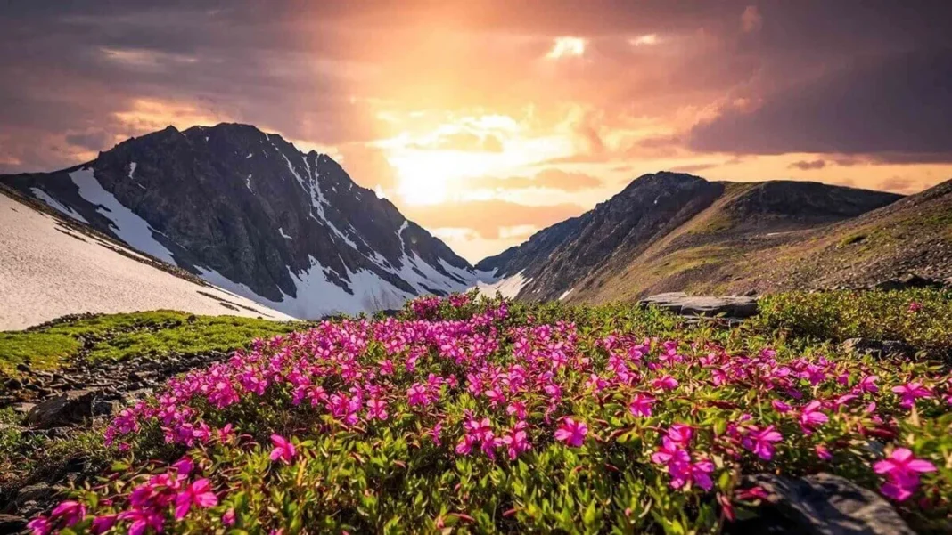 Uttarakhand Valley Of Flowers Opens Today With New Timings, Ticket Prices, And Plastic Rules For 2026 Travellers