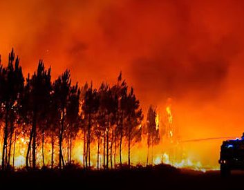France Orders 4,000 More Wildfire Evacuations: Why Have Over 300,000 People Fled Across France And Spain? Wildfire smoke forces evacuations in Lacanau, France