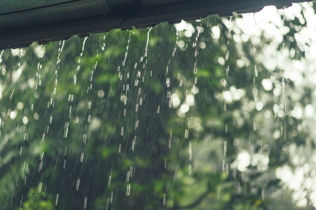 Rainwater Entering Your Home? 7 Things To Check Before Mould, Mosquitoes, and Damp Smell Get Worse Rainwater leaking through a home's wall during the monsoon, causing damp patches and moisture damage.