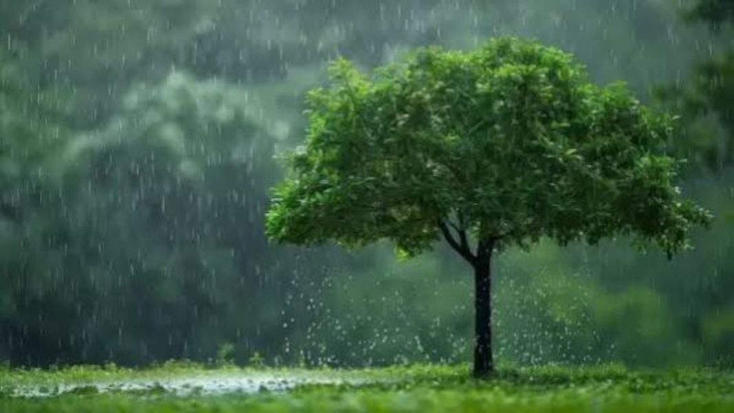 India Faces Fresh Monsoon Spell From August 11 To 16: Which States Face Heavy Rain And Flash-Flood Risk? India monsoon heavy rain and flash-flood risk across multiple states