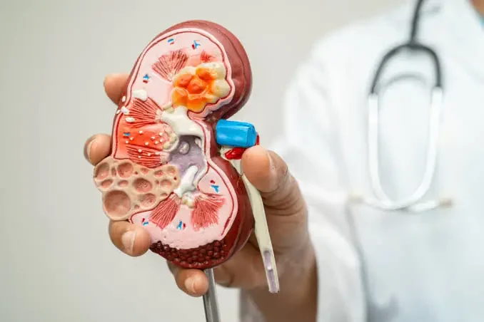 BITS Hyderabad Develops Device For Instant Kidney Tests: Could It Reduce Diagnostic Waiting Times? BITS Hyderabad portable device for kidney biomarker testing