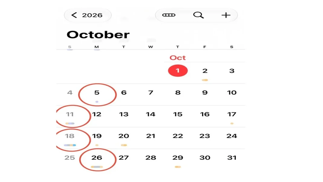 October 2026 Holiday Calendar India: Bank, School and Government Office Holidays in One List October 2026 Holiday