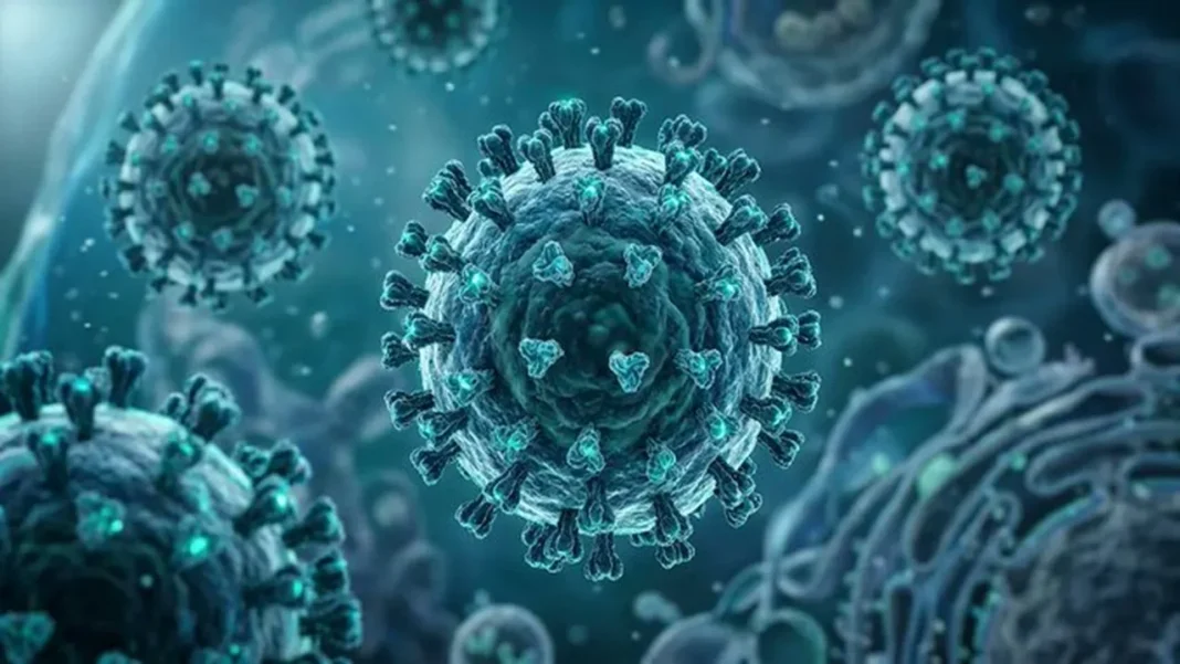 Shamonda Virus Trends on Google After First Documented Human Infection in France: Symptoms, Transmission and Risks Explained Shamonda Virus Infection