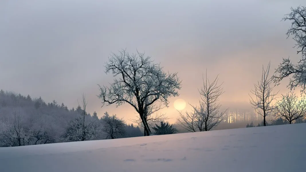 Why Winter Mornings Can Increase Stroke Risk: How Cold Weather Affects Blood Pressure And What People With Heart Conditions Should Know Winter Stroke Risk